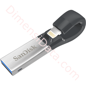 Picture of Flash Drive SANDISK iXpand 128GB [SDIX30N-128G-PN6NE]