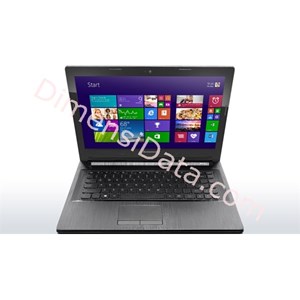 Picture of Notebook Lenovo IdeaPad G40-45 [N-80E100-1SiD]
